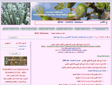 Tablet Screenshot of berc-taphm.com